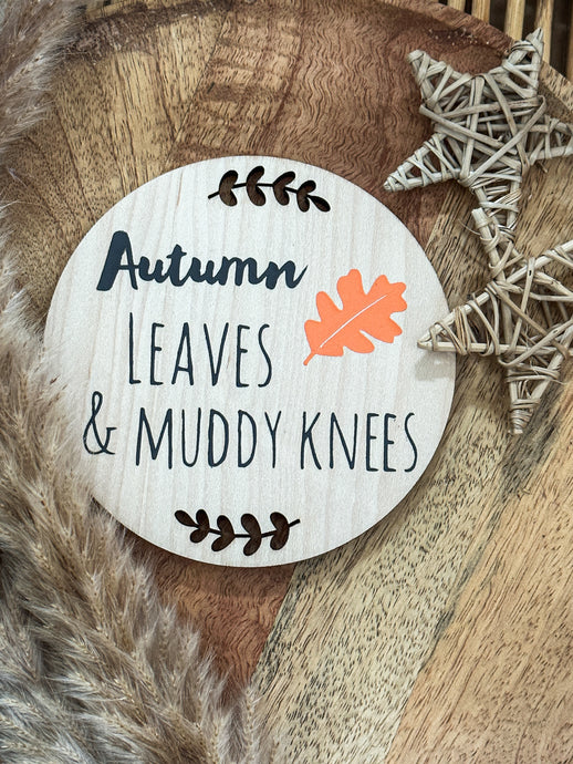 Autumn Double sided disc